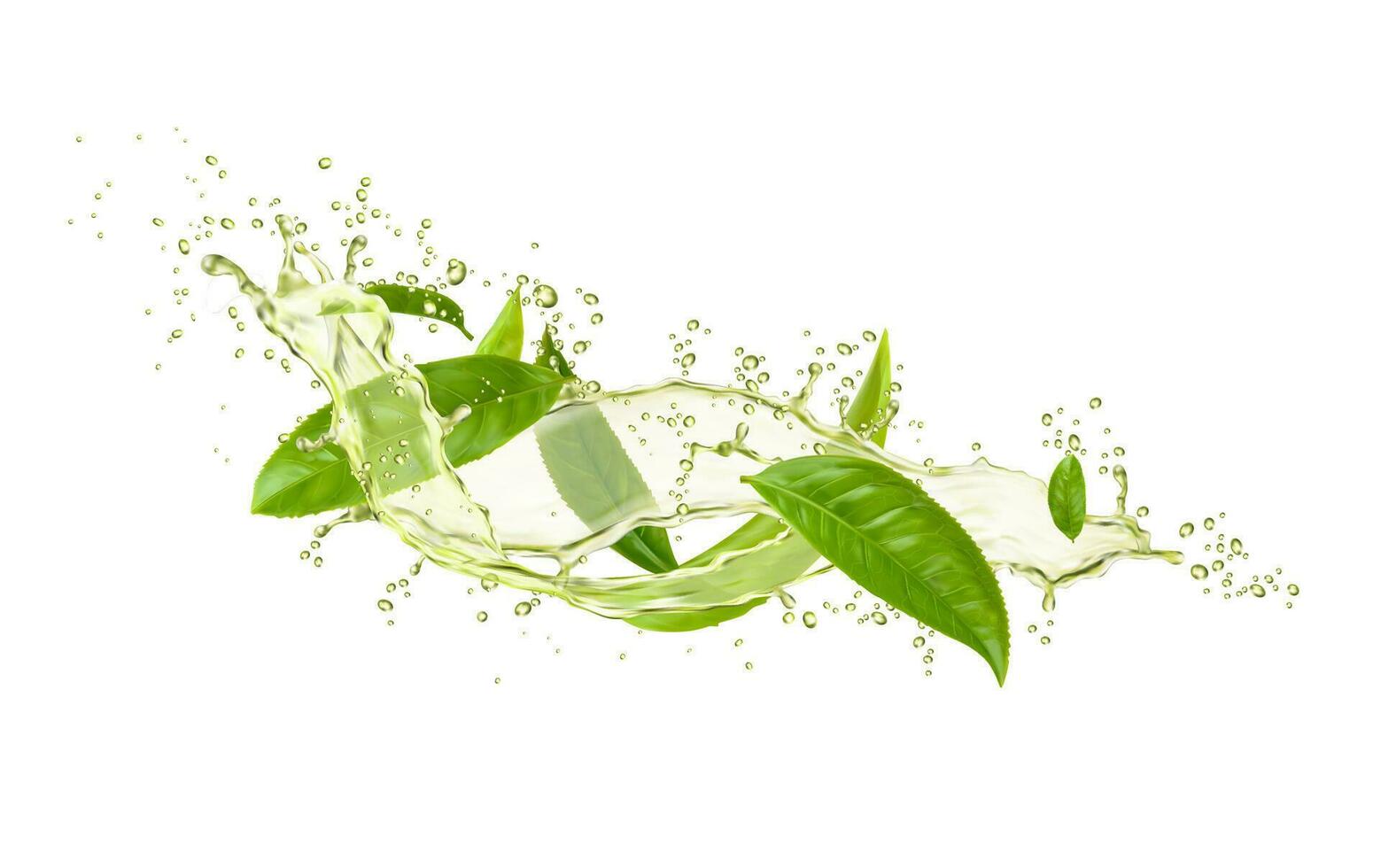 Green tea swirl splashes with leaves and drops vector