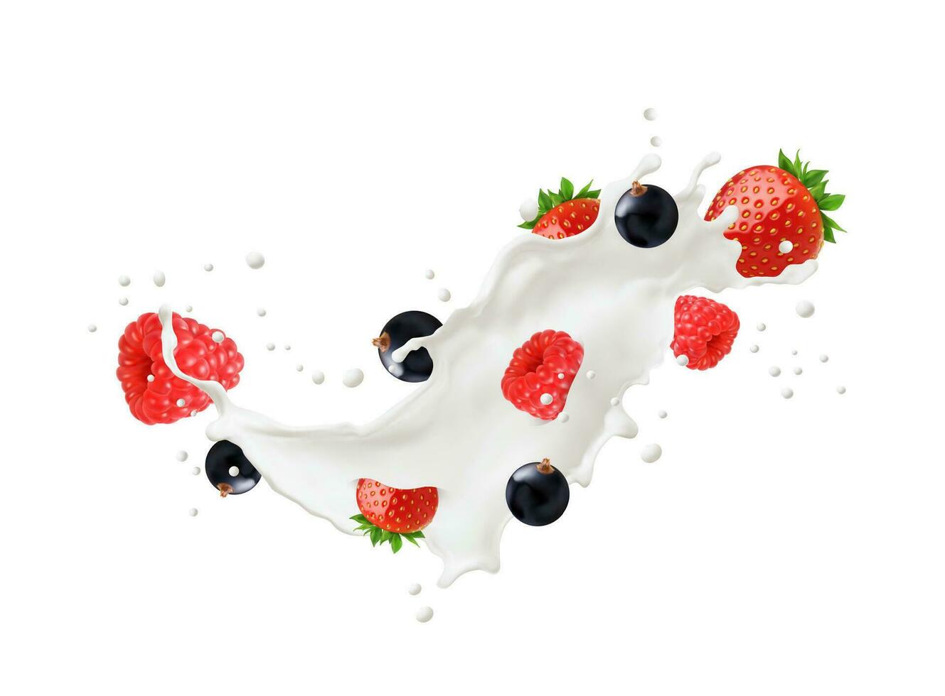 Milk drink, dairy drink splash with ripe berries vector