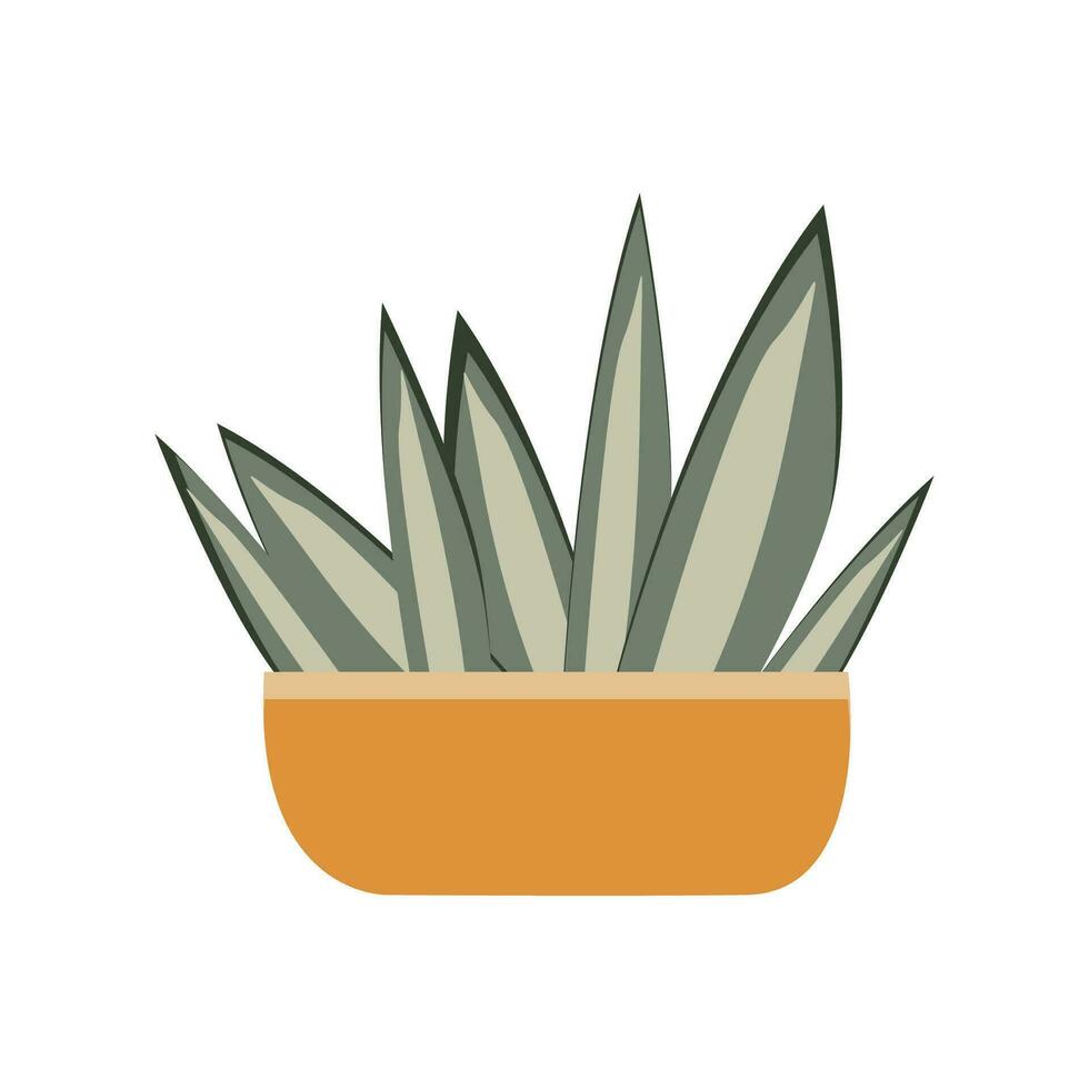 vector plano ilustración. ornamental casa plantas en ollas