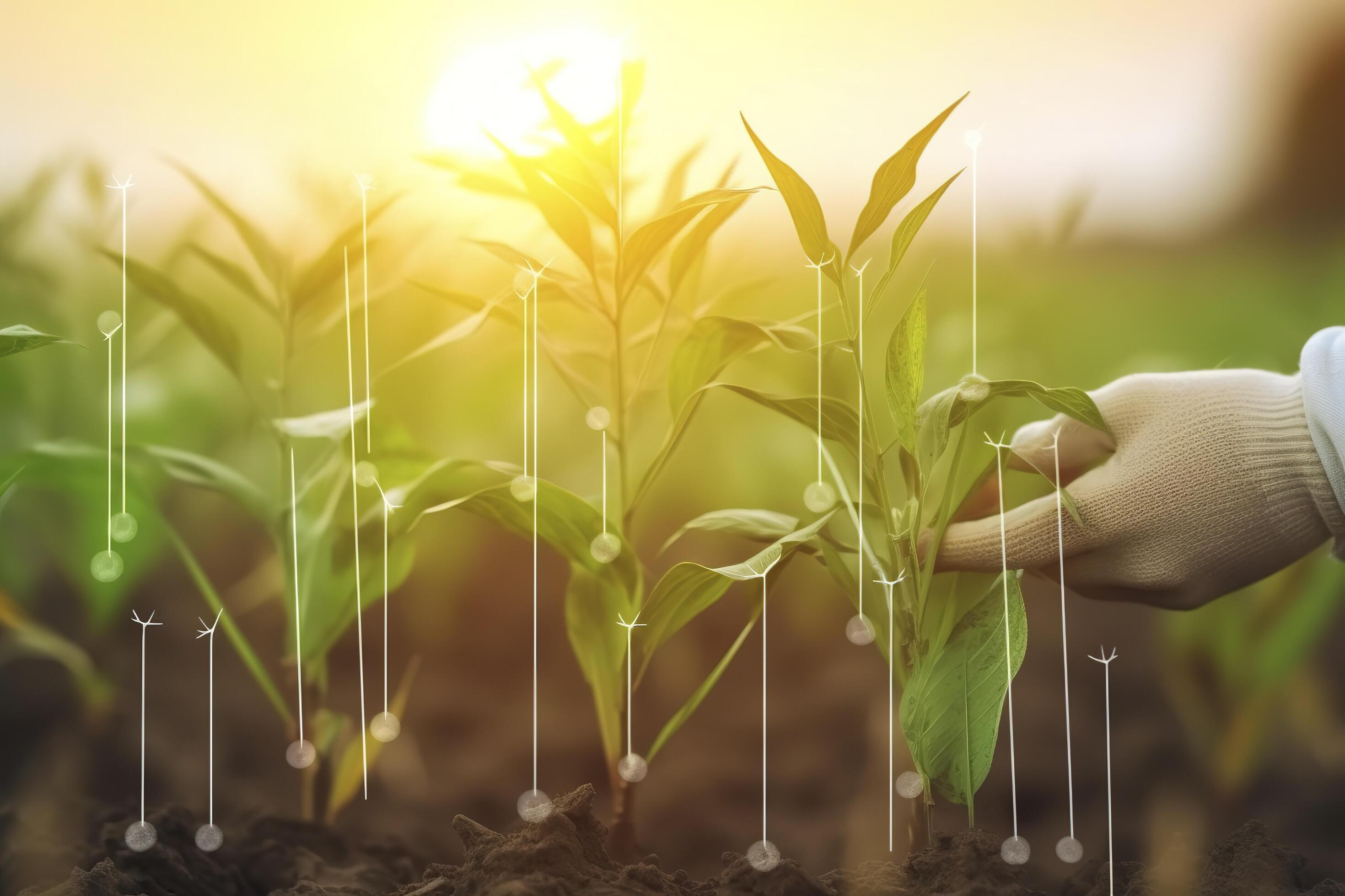 Agricultural technologies for growing plants and scientific research in