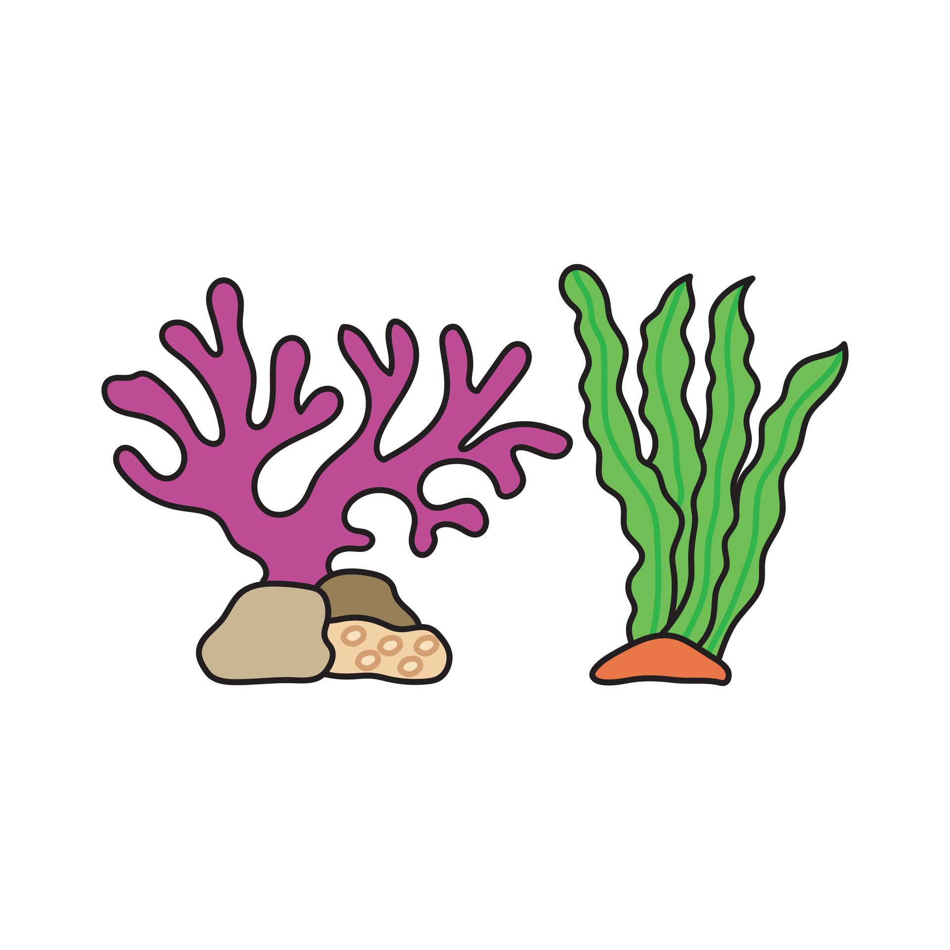 Kids drawing Cartoon ocean plants. Anemones, corals and seaweed, marine ...