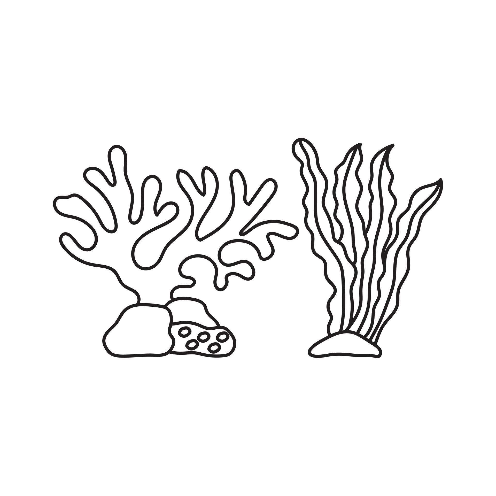 Hand drawn Kids drawing Cartoon ocean plants. Anemones, corals and