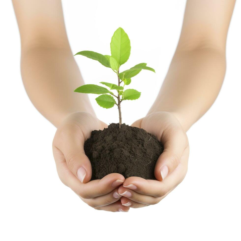 ambiente tierra día en el árbol planta en mujer mano aislado en blanco antecedentes. bosque conservación concepto, concepto eco tierra día. ahorro el ambiente, ecología concepto, generar ai foto