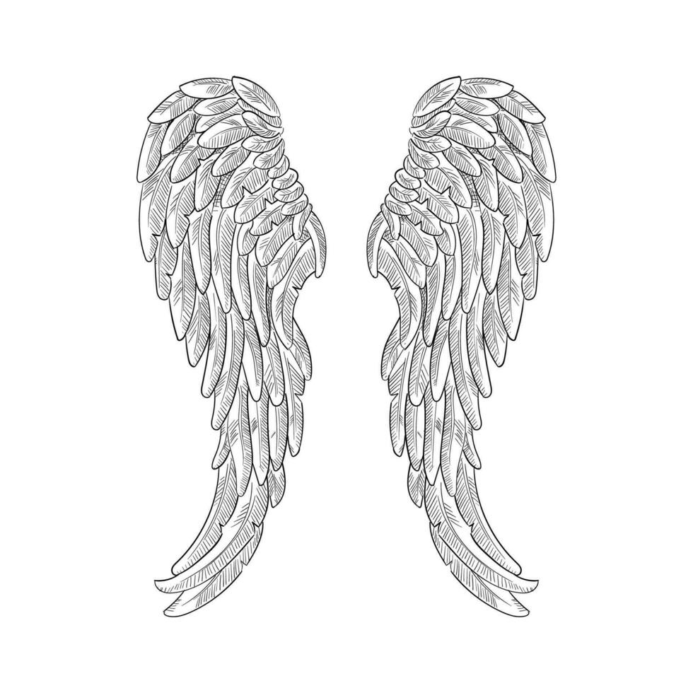 Vintage heraldic wing sketch. Doodle stylized bird wings. Hand drawn wing in open position. Angel wings sketch, Religious of Christianity hand drawn vector illustration sketch