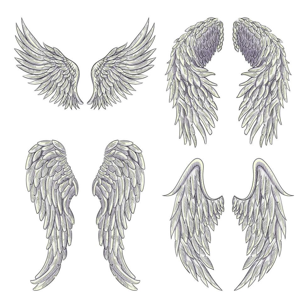 Heraldic wings set for tattoo or mascot design. isolated on white background vector