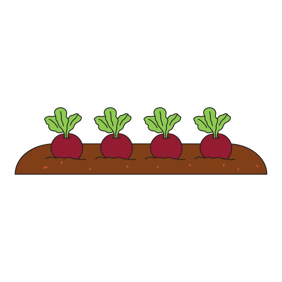 Kids drawing Cartoon Vector illustration cute red radish in soil icon Isolated on White Background