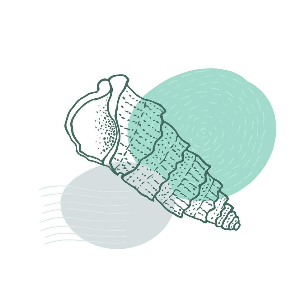 Hand-drawn in the style of doodles, a seashell spiral with a texture of many dots, an isolated black outline on white background. vector