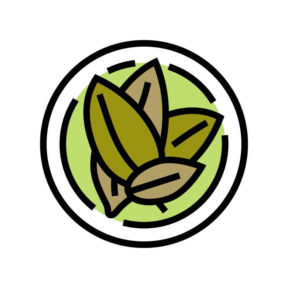 bay leaf cosmetic plant color icon vector illustration