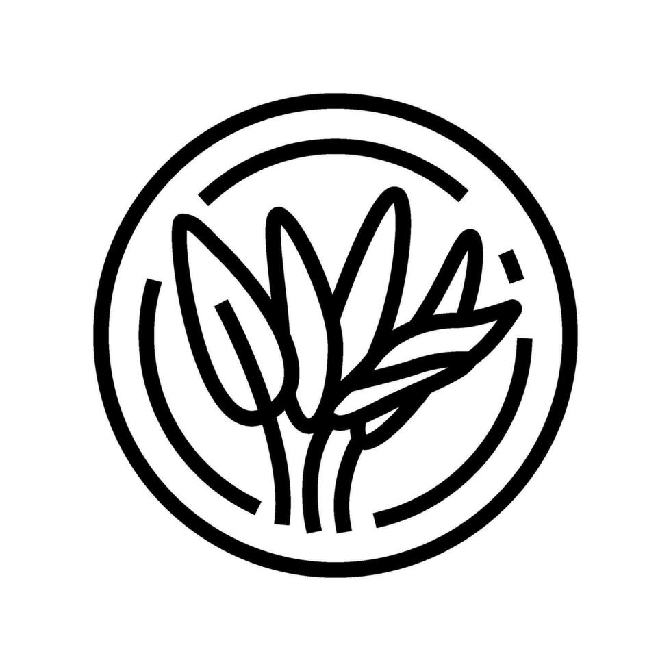 sage cosmetic plant line icon vector illustration