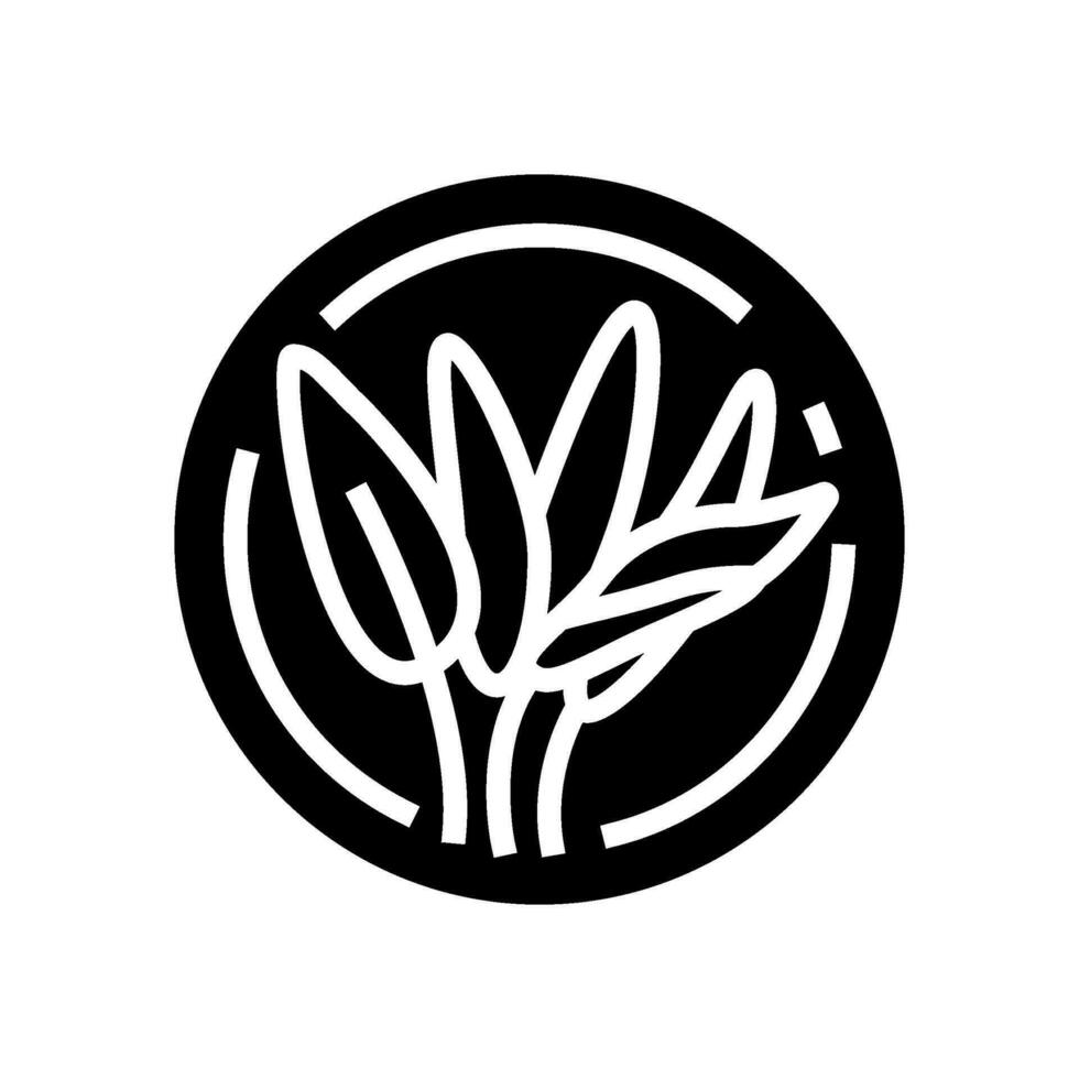 sage cosmetic plant glyph icon vector illustration