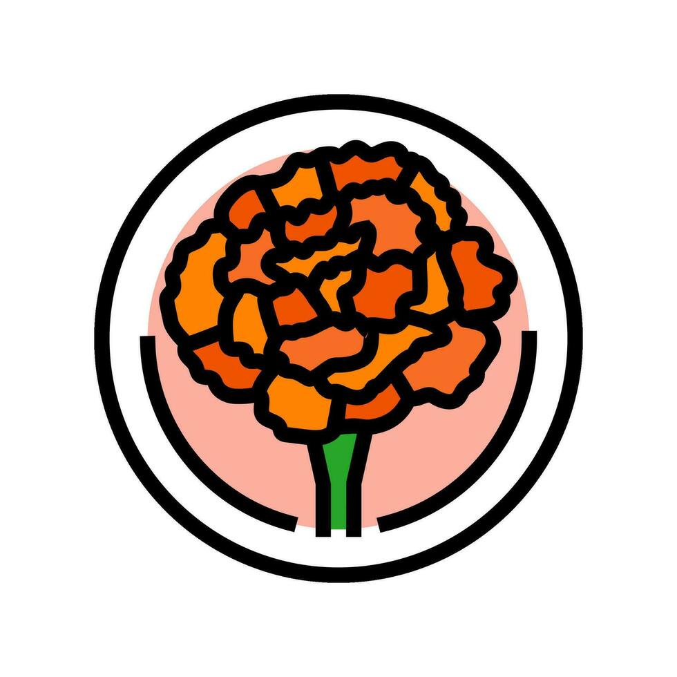 marigold cosmetic plant color icon vector illustration