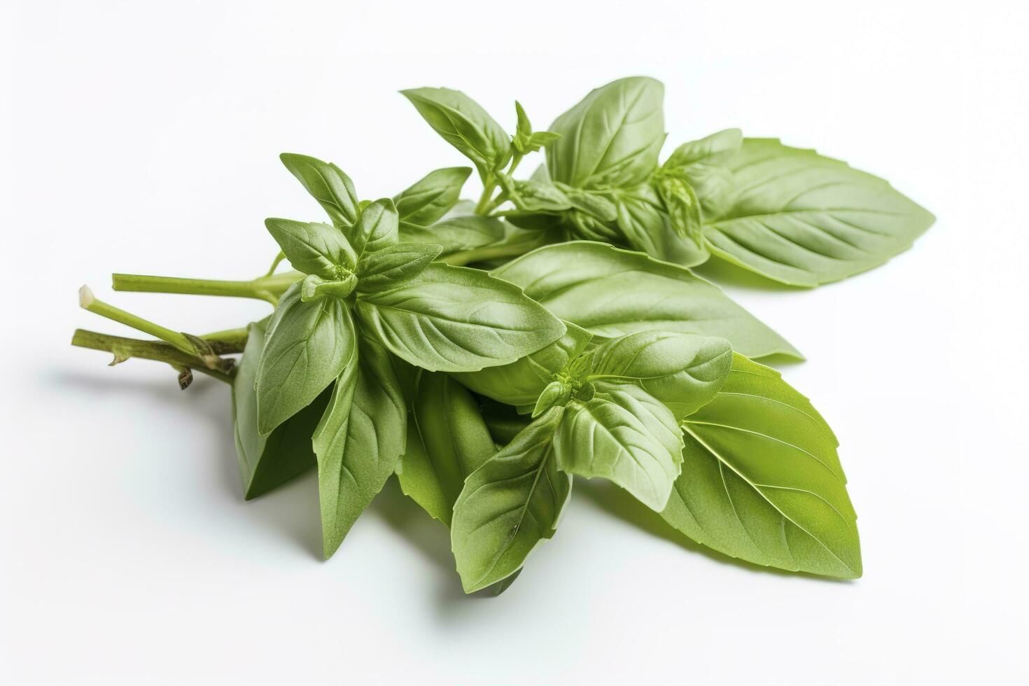 Fresco verde orgánico albahaca y Romero hojas aislado en blanco antecedentes. con recorte camino, generar ai foto