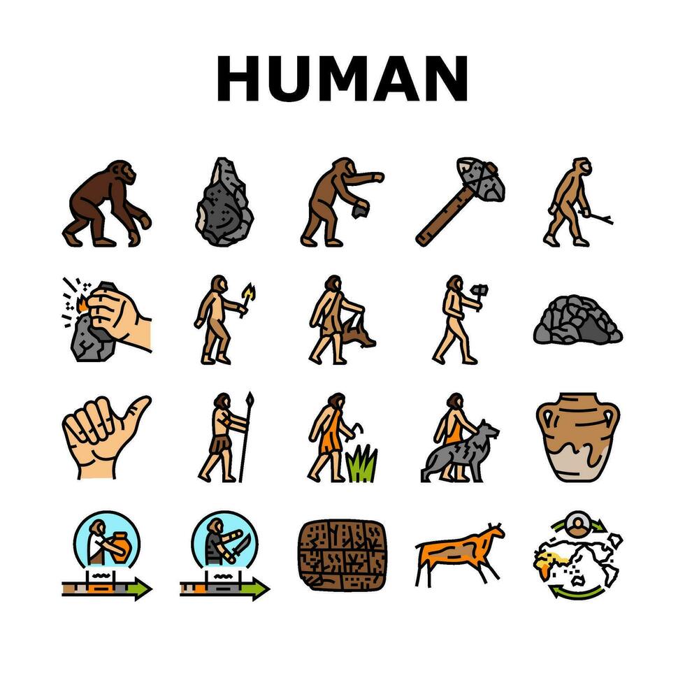 humano evolución hombre cavernícola íconos conjunto vector