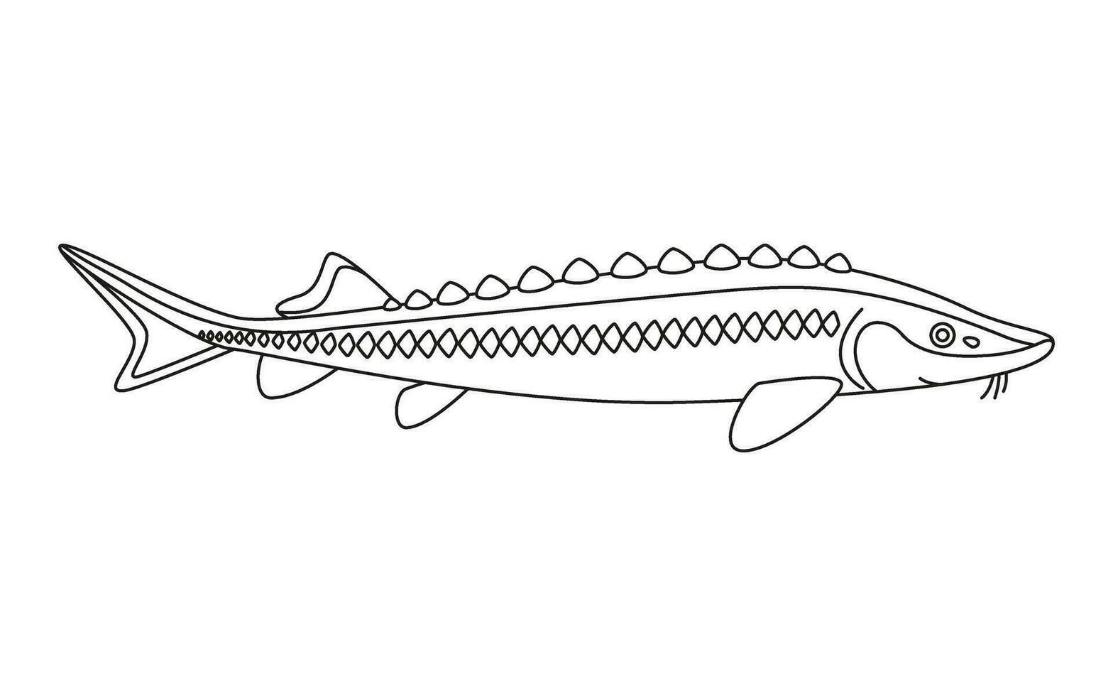 esturión pescado Arte línea, Mariscos y submarino animal. acuático delicadeza, gastrónomo. pesquería esturión. colorante para niños. vector ilustración aislado en blanco antecedentes