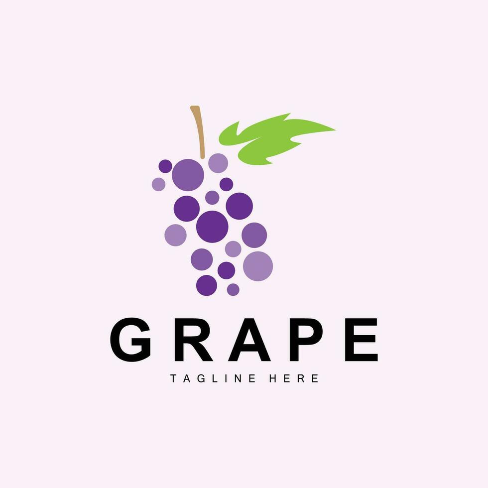 Grape Logo, Garden Vector, Fresh Purple Fruit, Wine Brand Design, Simple Illustration Template vector