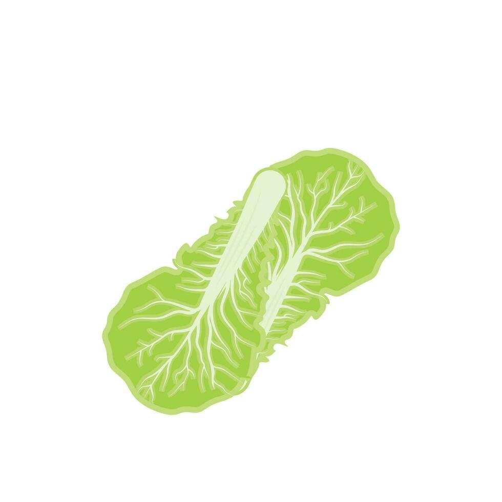 Kimchi Logo Design, Korean Traditional Food Vector, Cabbage Green Vegetable Logo Illustration, Company Brand Icon vector