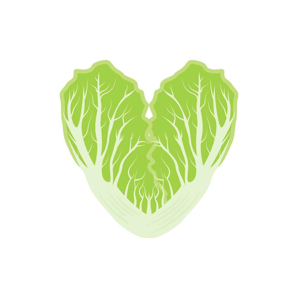 Kimchi Logo Design, Korean Traditional Food Vector, Cabbage Green Vegetable Logo Illustration, Company Brand Icon vector