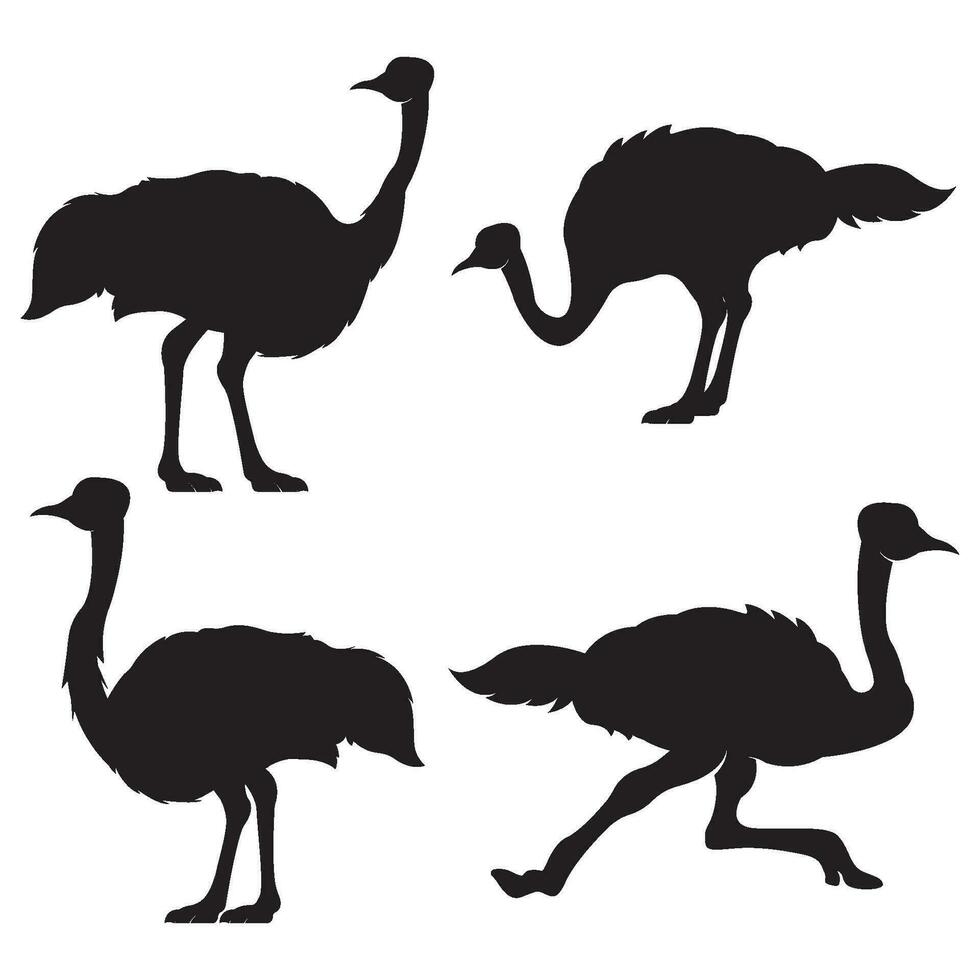 ostrich icon vector illustration simple design