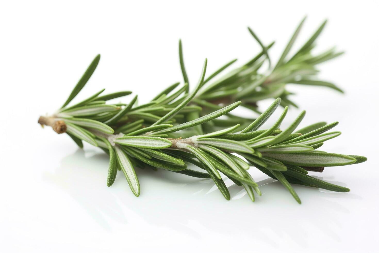 Fresh green organic rosemary leaves and peper isolated on white background, generate ai photo