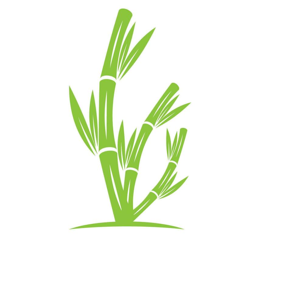 Bamboo with green leaf logo ilustration vector template
