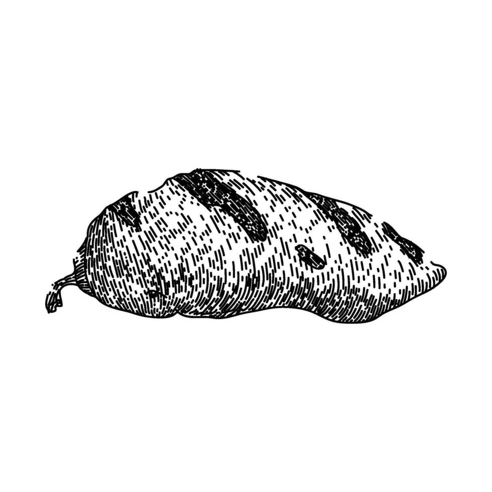 patata A la parrilla vegetales bosquejo mano dibujado vector