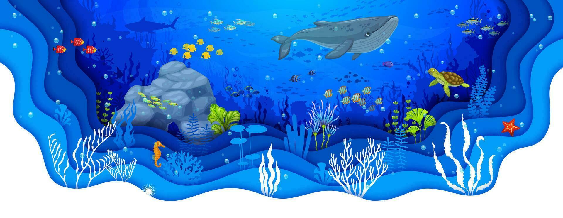Cartoon whale, tropical fish, turtle and seaweeds vector