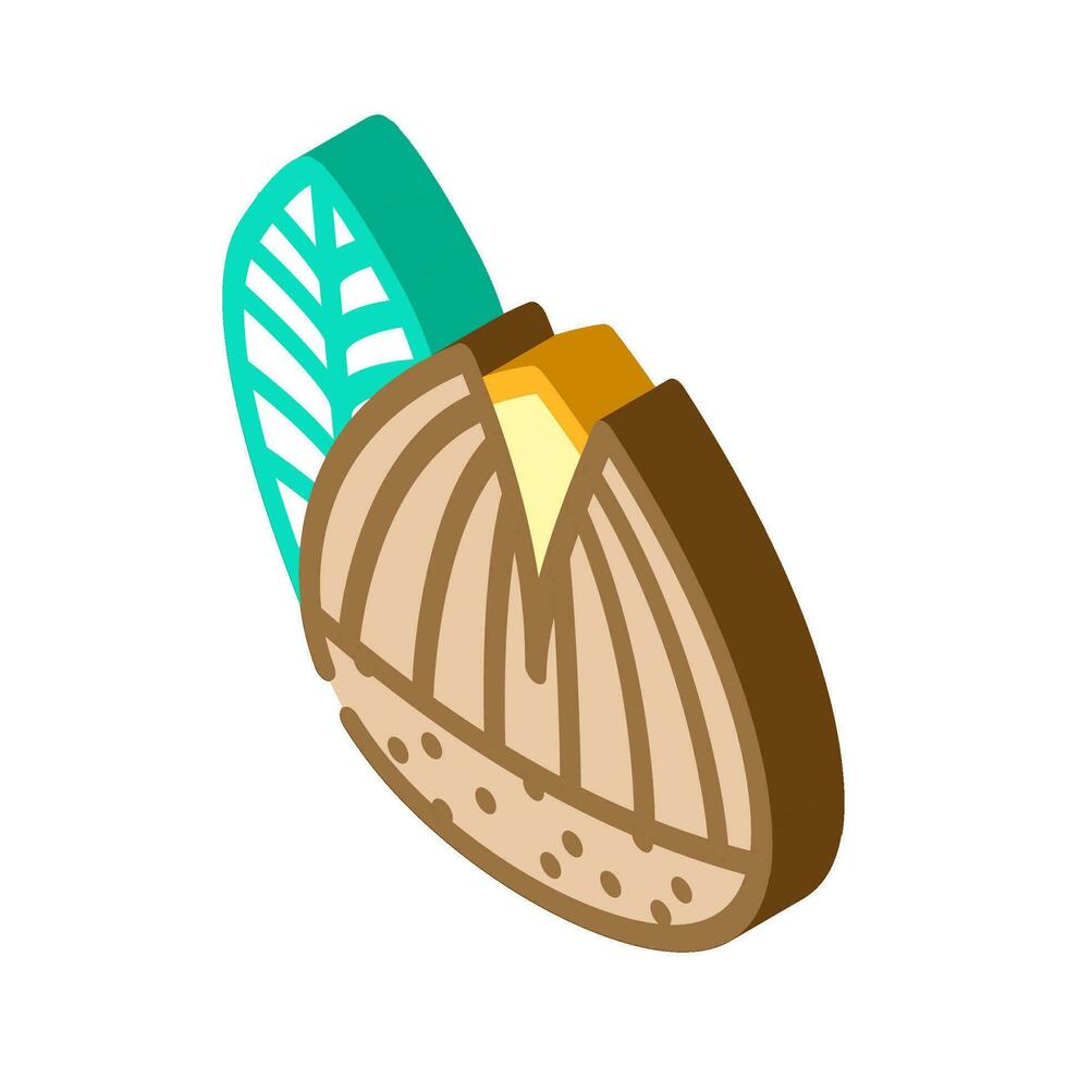 roasted chestnut autumn season isometric icon vector illustration