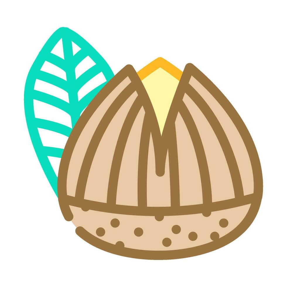 roasted chestnut autumn season color icon vector illustration