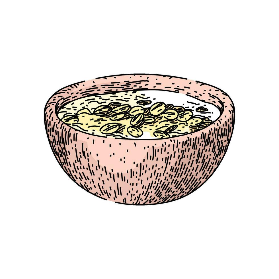 oatmeal oat bowl sketch hand drawn vector