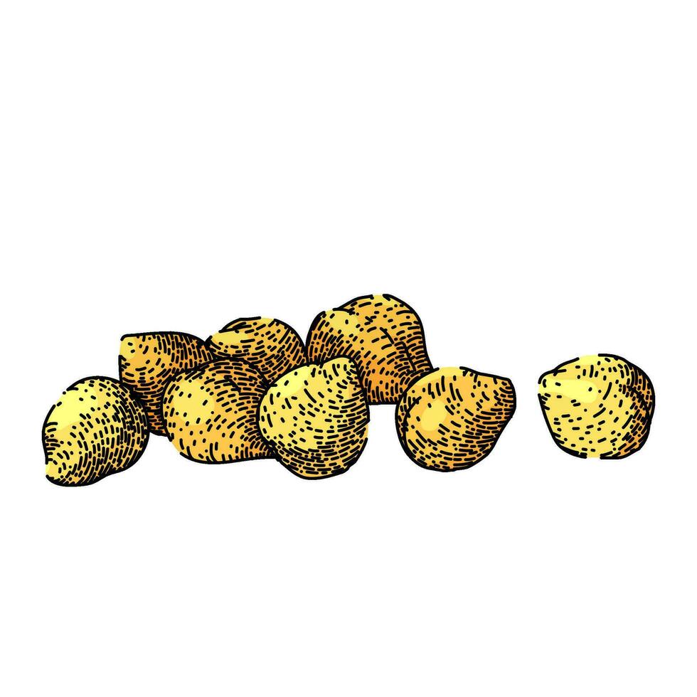 chickpea hummus food sketch hand drawn vector