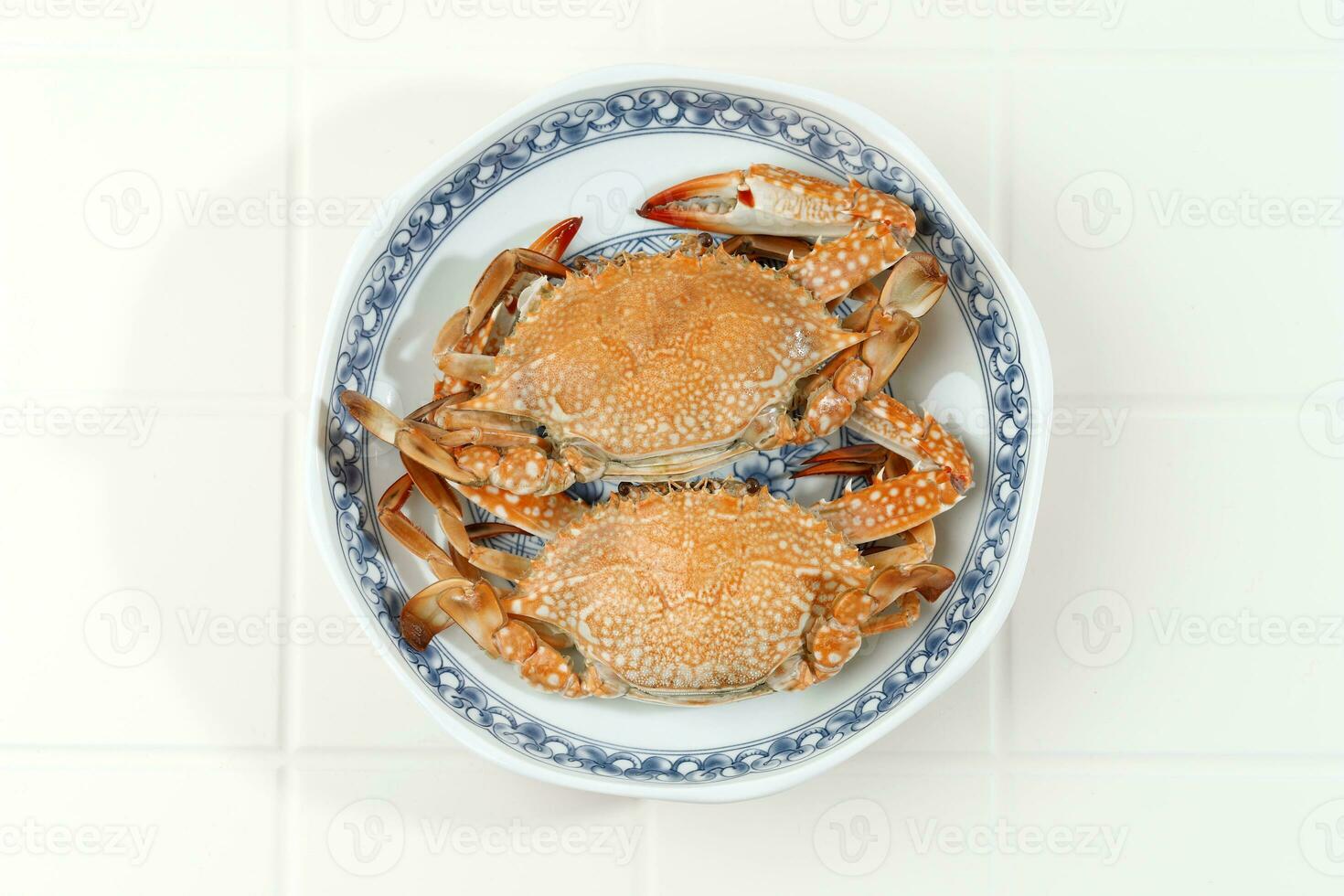 Flower Crab or Blue Crab or Blue Manna Sand Crab photo