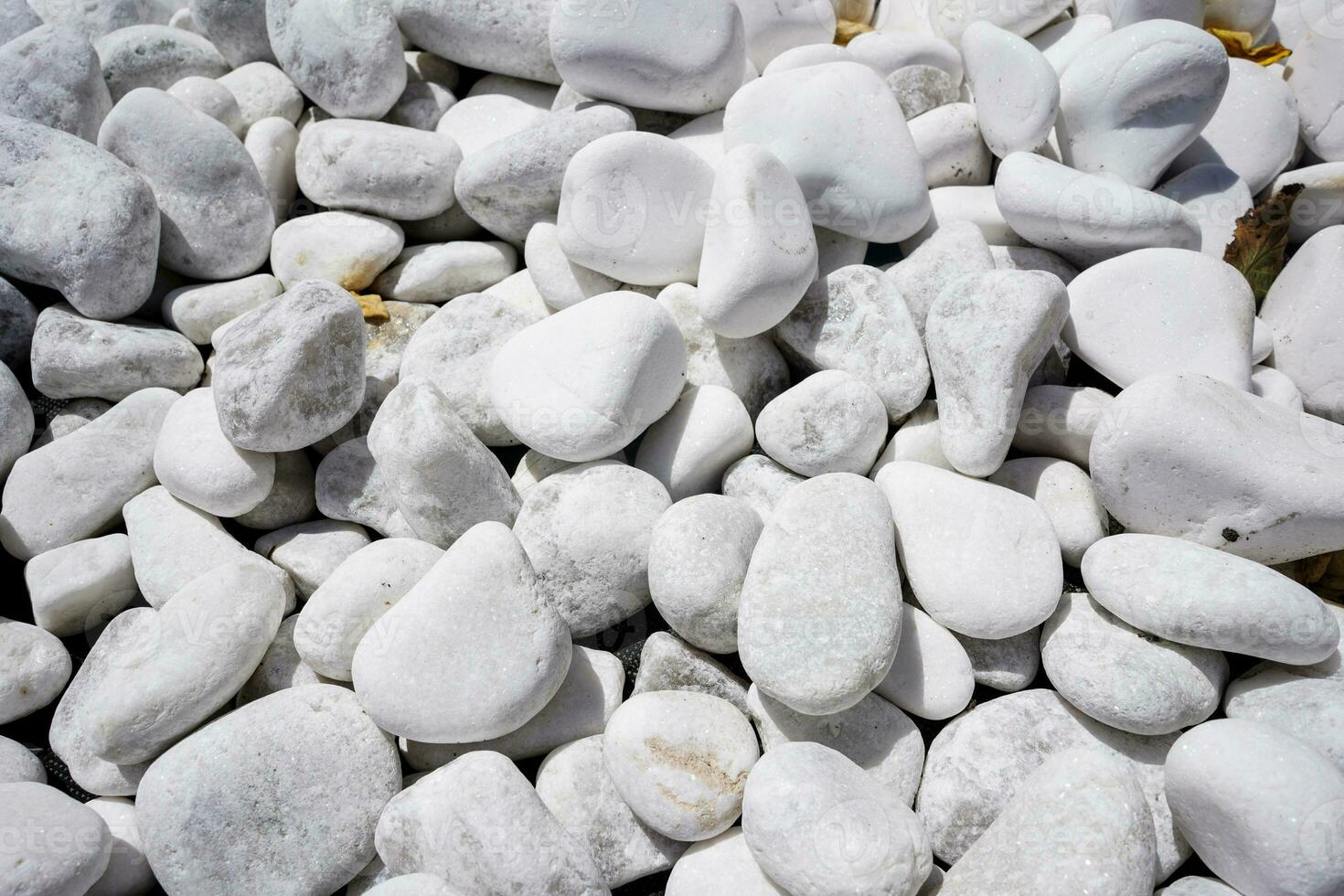 White decorative stones in the garden. Garden decorative stones. Small white stones. photo