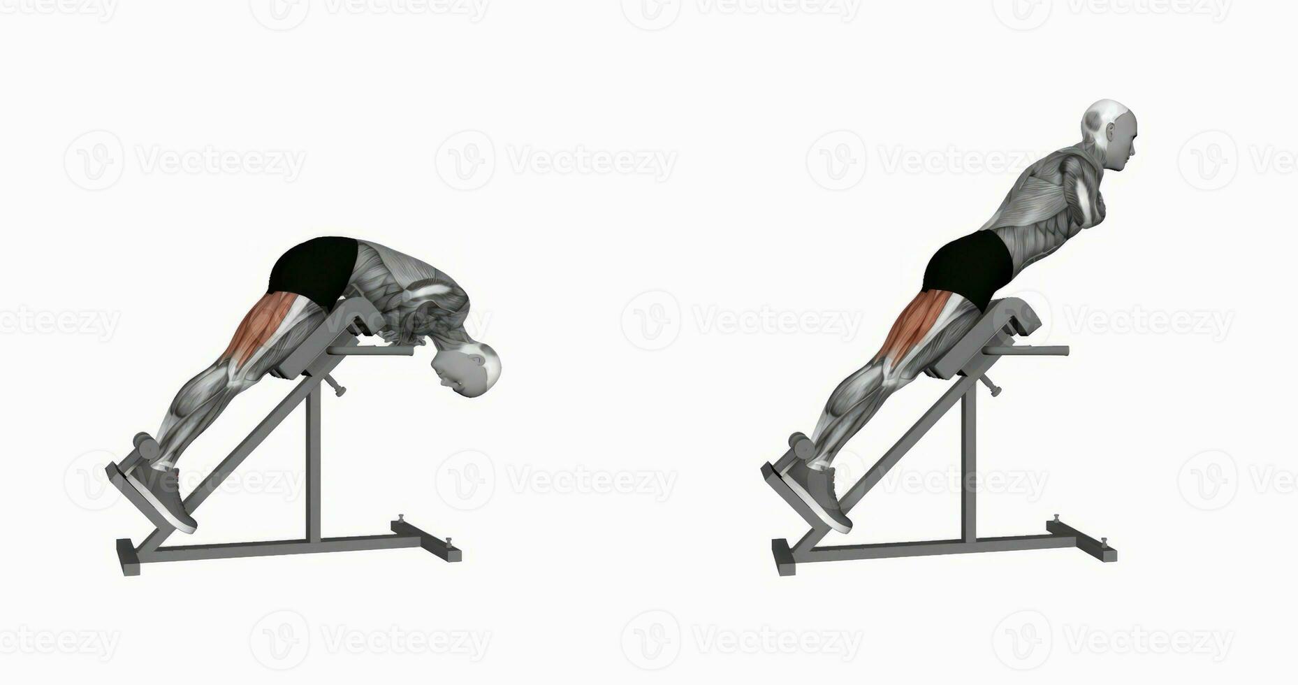 45 degree hyperextension arms in front of chest fitness exercise workout animation video male