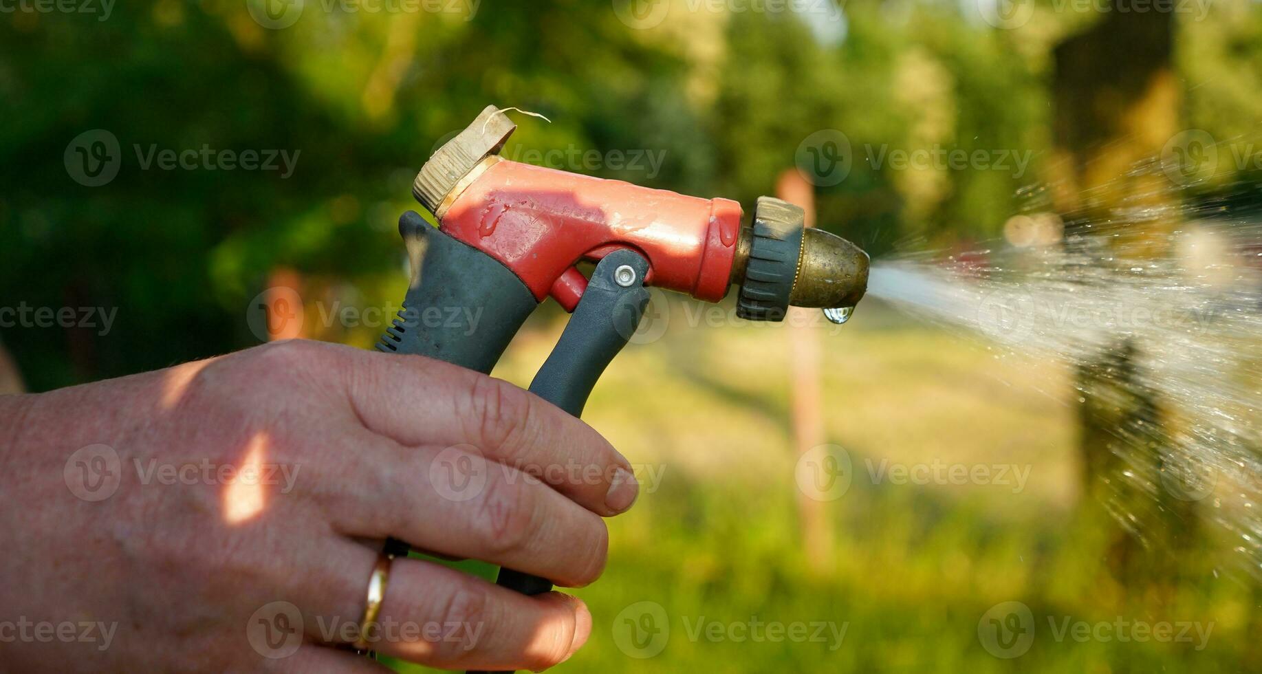 Person holding hose spray gun. Spraying water. Watering the plants in the garden. photo
