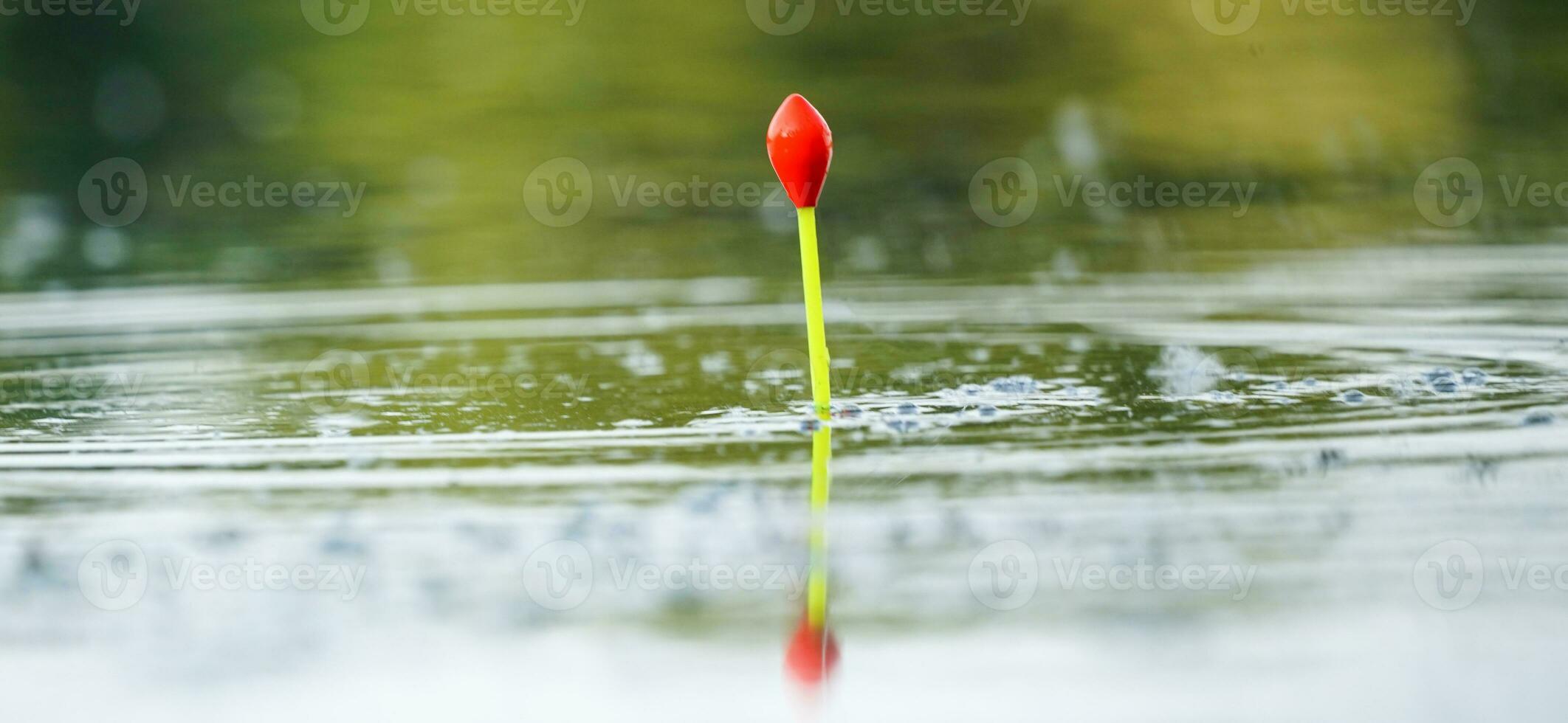 Fishing bobber floating on the lake. Fishing float in the lake. Fishing in  the forest. 25442252 Stock Photo at Vecteezy