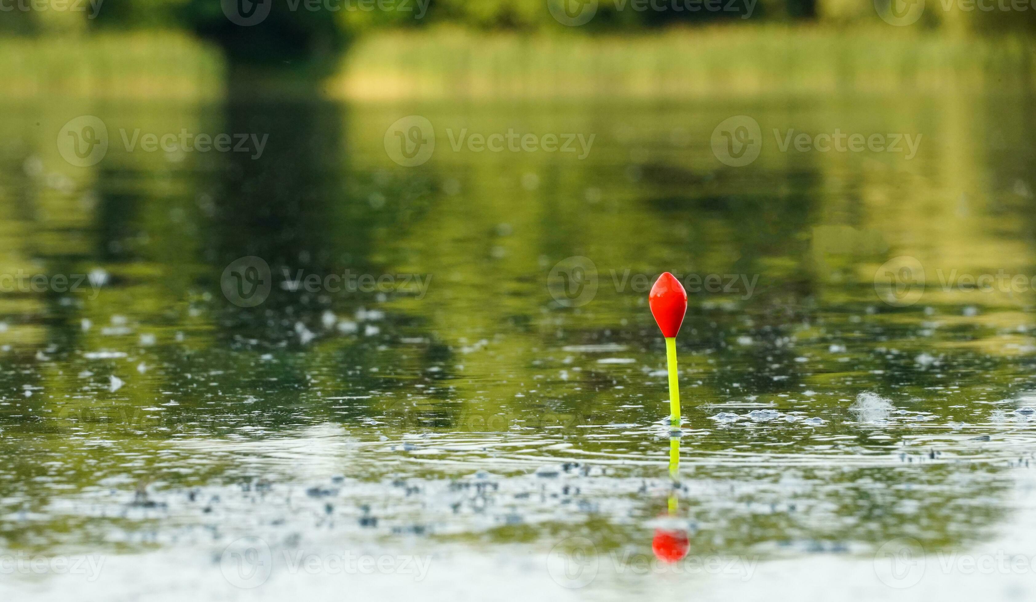 Fishing bobber floating on the lake. Fishing float in the lake. Fishing in  the forest. 25442280 Stock Photo at Vecteezy