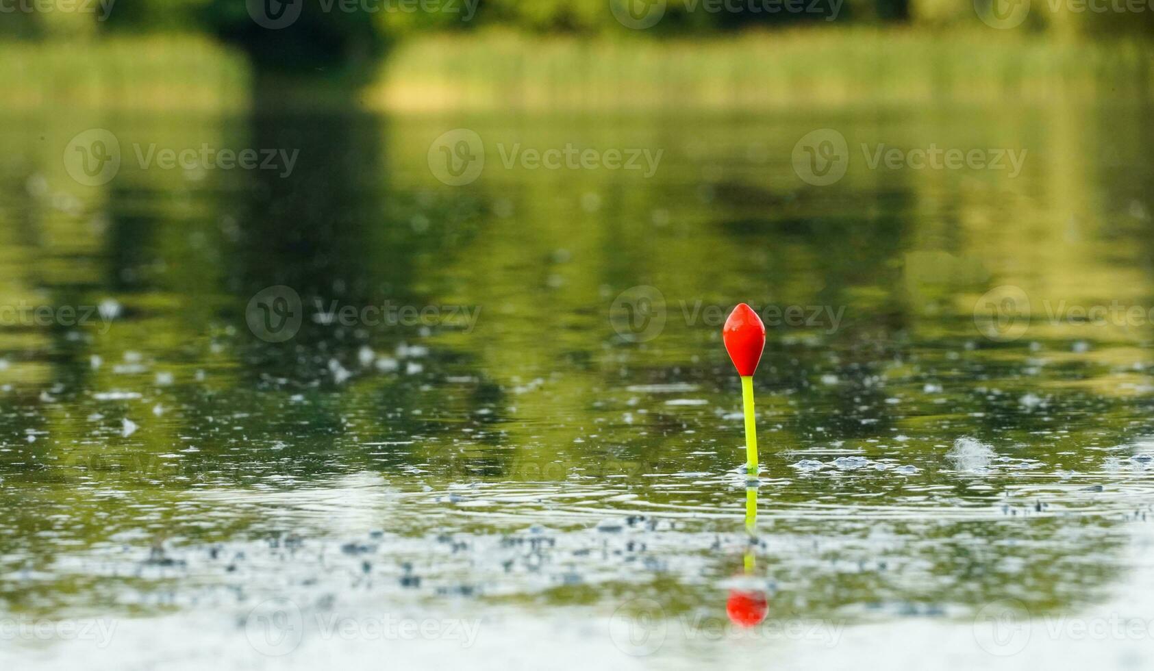 Fishing bobber floating on the lake. Fishing float in the lake. Fishing in the forest. photo