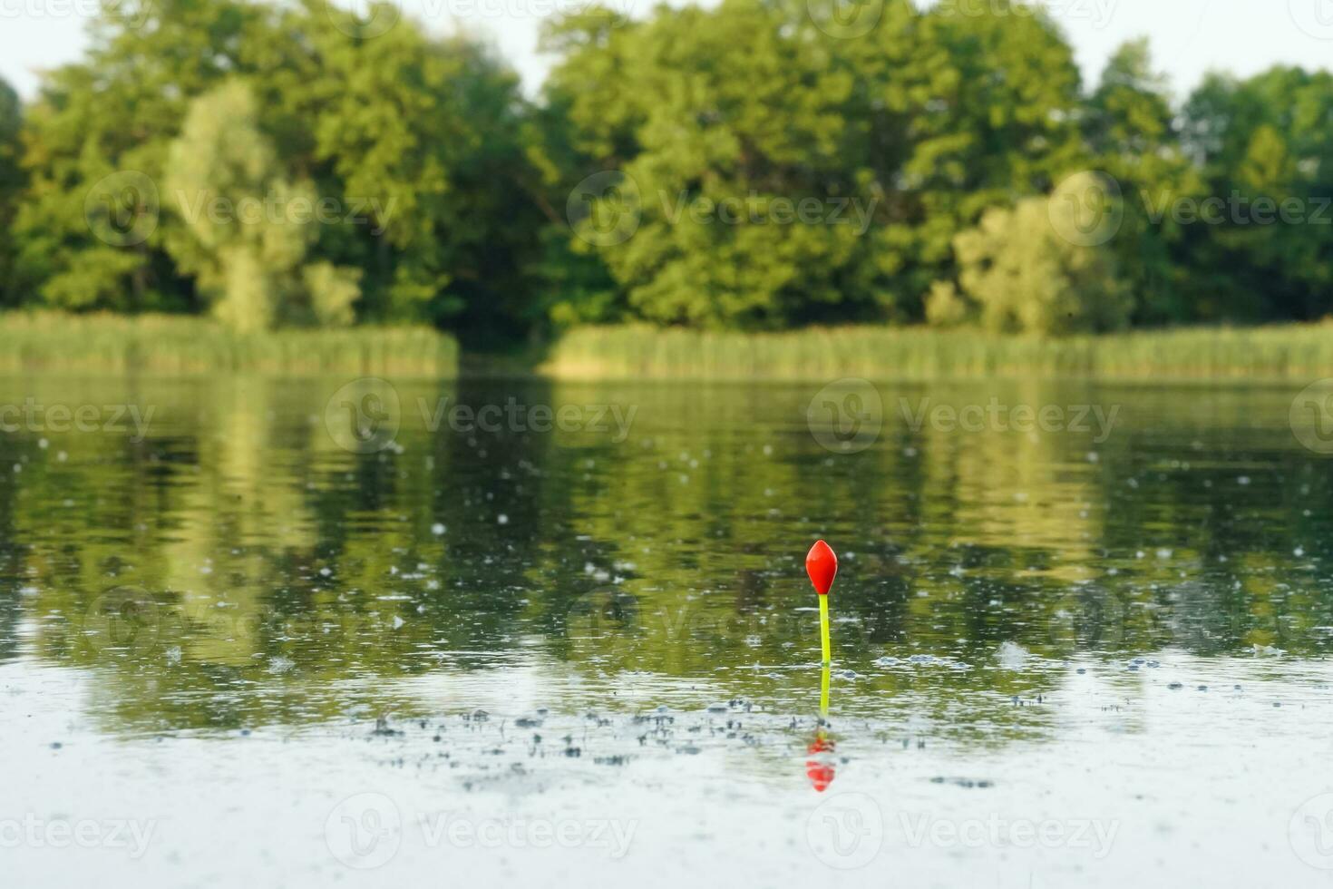 Fishing bobber floating on the lake. Fishing float in the lake. Fishing in the forest. photo