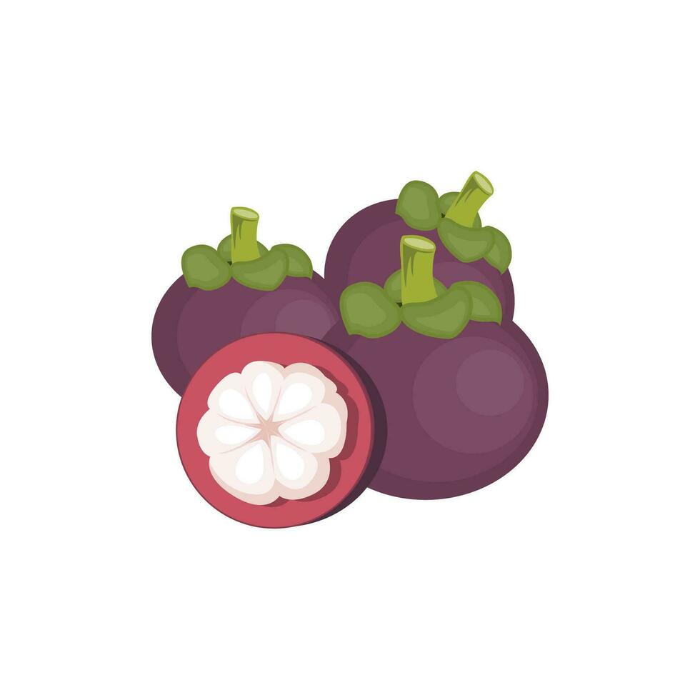 mangostán logo, salud Fruta diseño, jardín granjero vector, símbolo elemento modelo vector