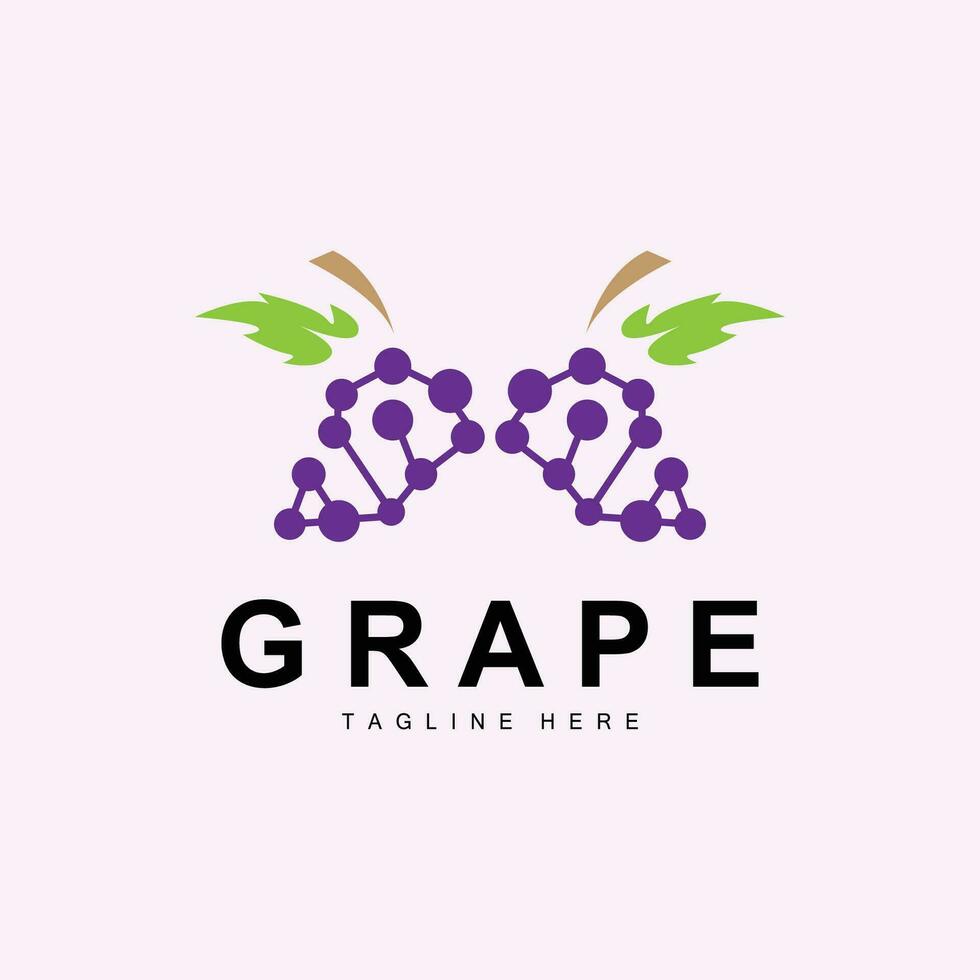 Grape Logo, Garden Vector, Fresh Purple Fruit, Wine Brand Design, Simple Illustration Template vector