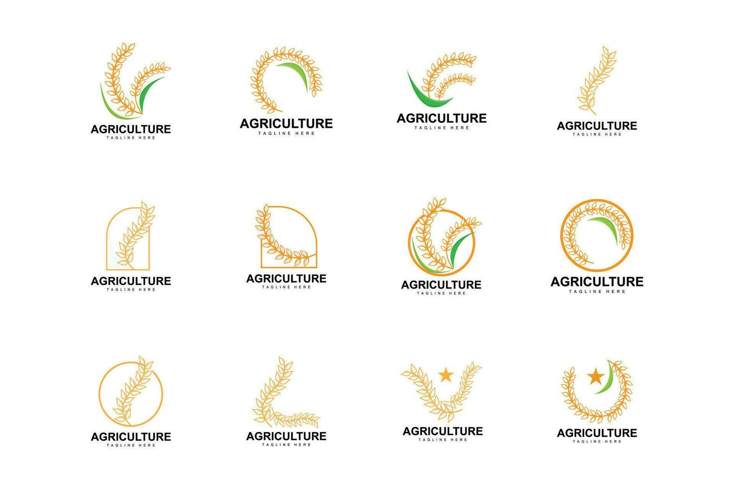 Rice Logo, Farm Wheat Logo Design, Vector Wheat Rice Icon Template Illustration