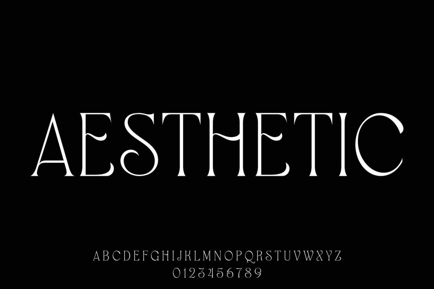 Aesthetic minimalist typeface display font vector. Thin luxury natural curved style typography design illustration vector