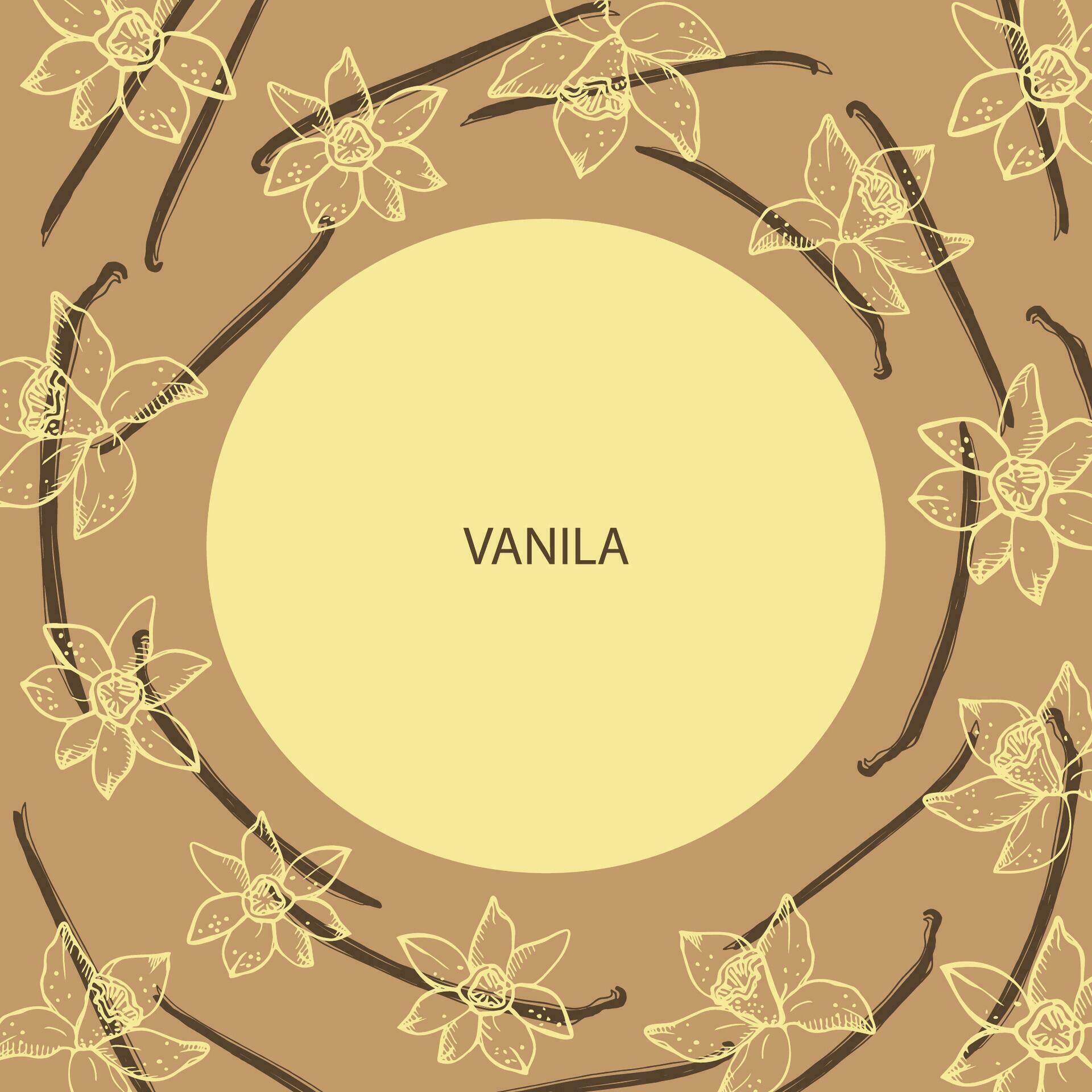 Vanilla label template background for text. Flower and sticks of