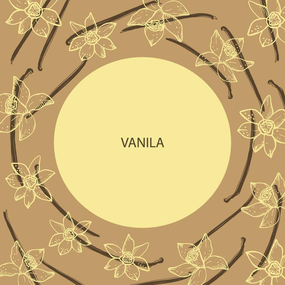 Vanilla label template background for text. Flower and sticks of vanilla plant vector illustration with pods, fragrant spices. For label,spice packaging, logo, card, banner.Hand drawn design element.