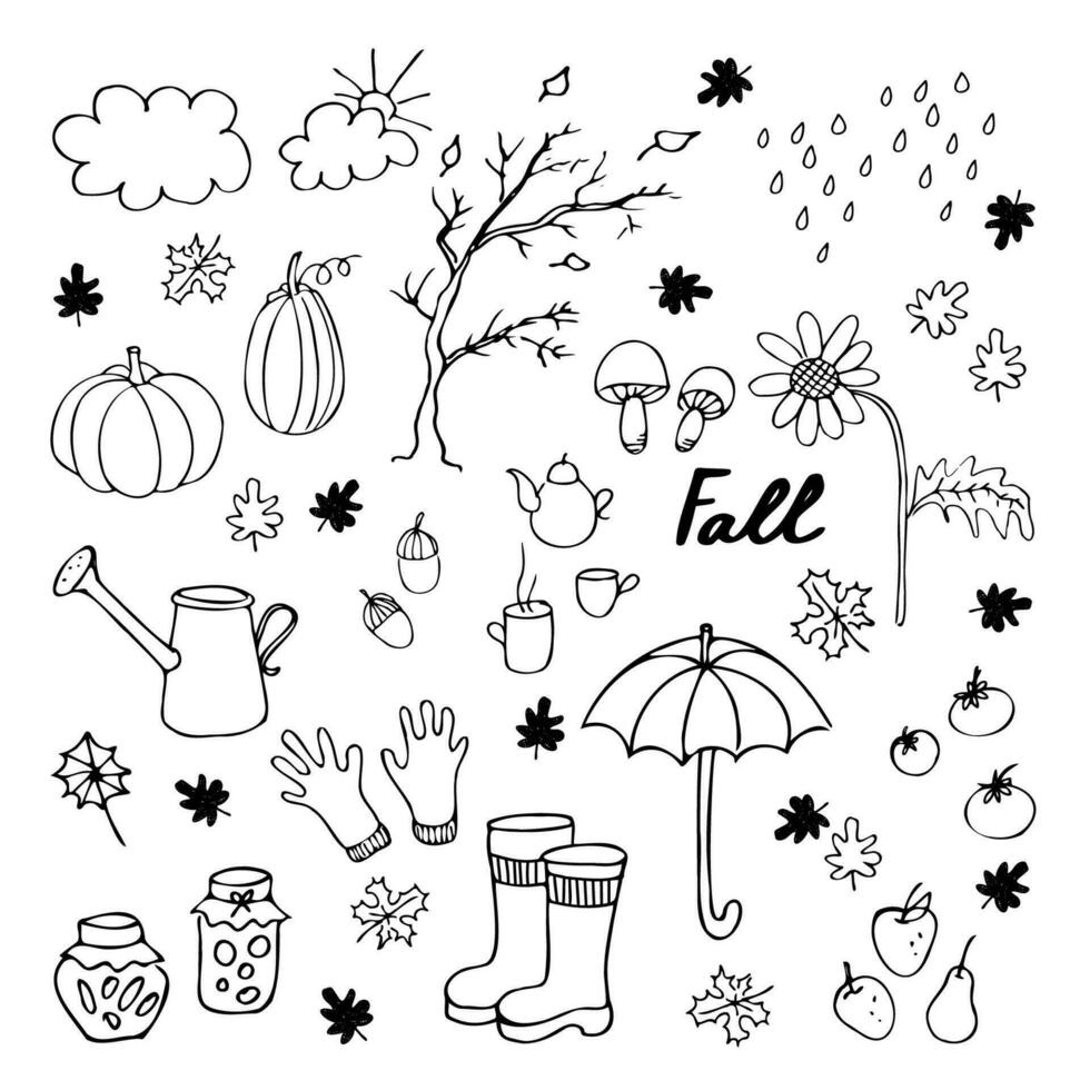 Autumn vector doodle on isolated white background illustration with pumpkins, chestnuts, falling leaves, homemade, tea, mushrooms, gloves, rain, umbrella, autumn fruits and vegetables, boots