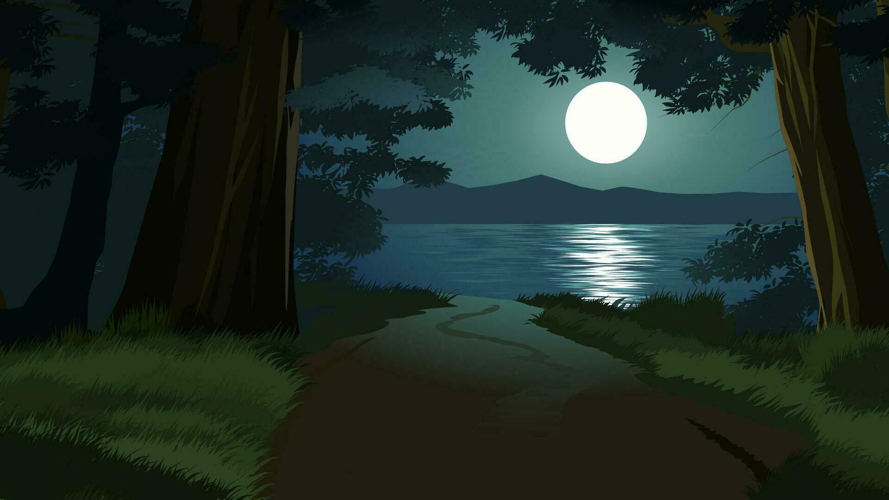 Vector night  illustration of forest with footpath