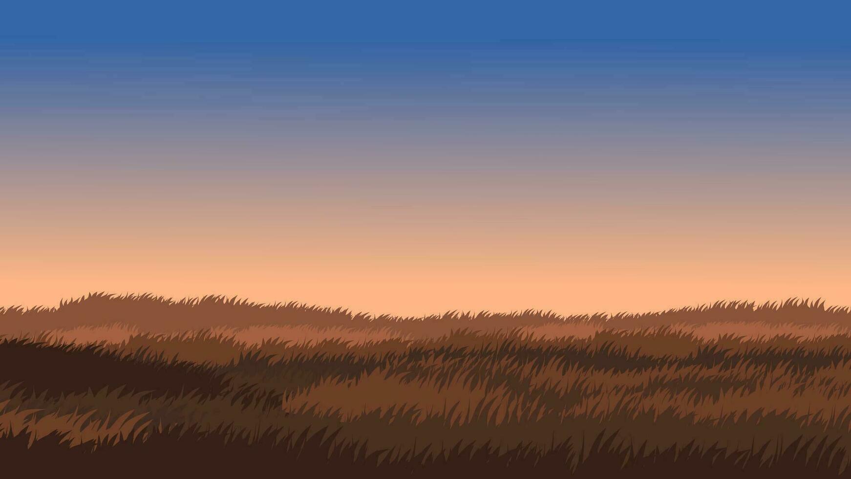 Empty meadow at sunset with clear sky vector