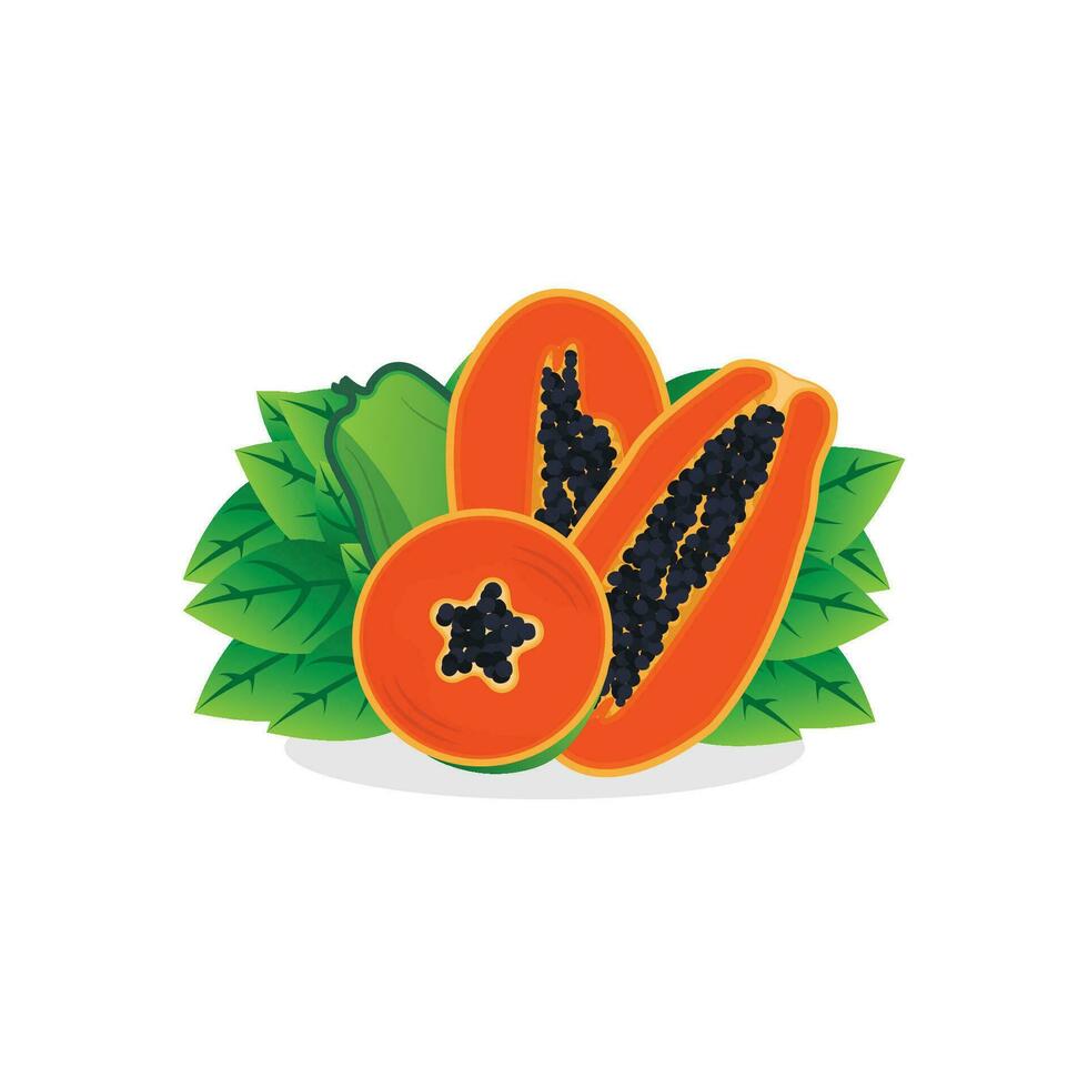 Papaya Logo Design, Vitamin Fruit Vector, Fruit Product Brand Illustration Icon vector