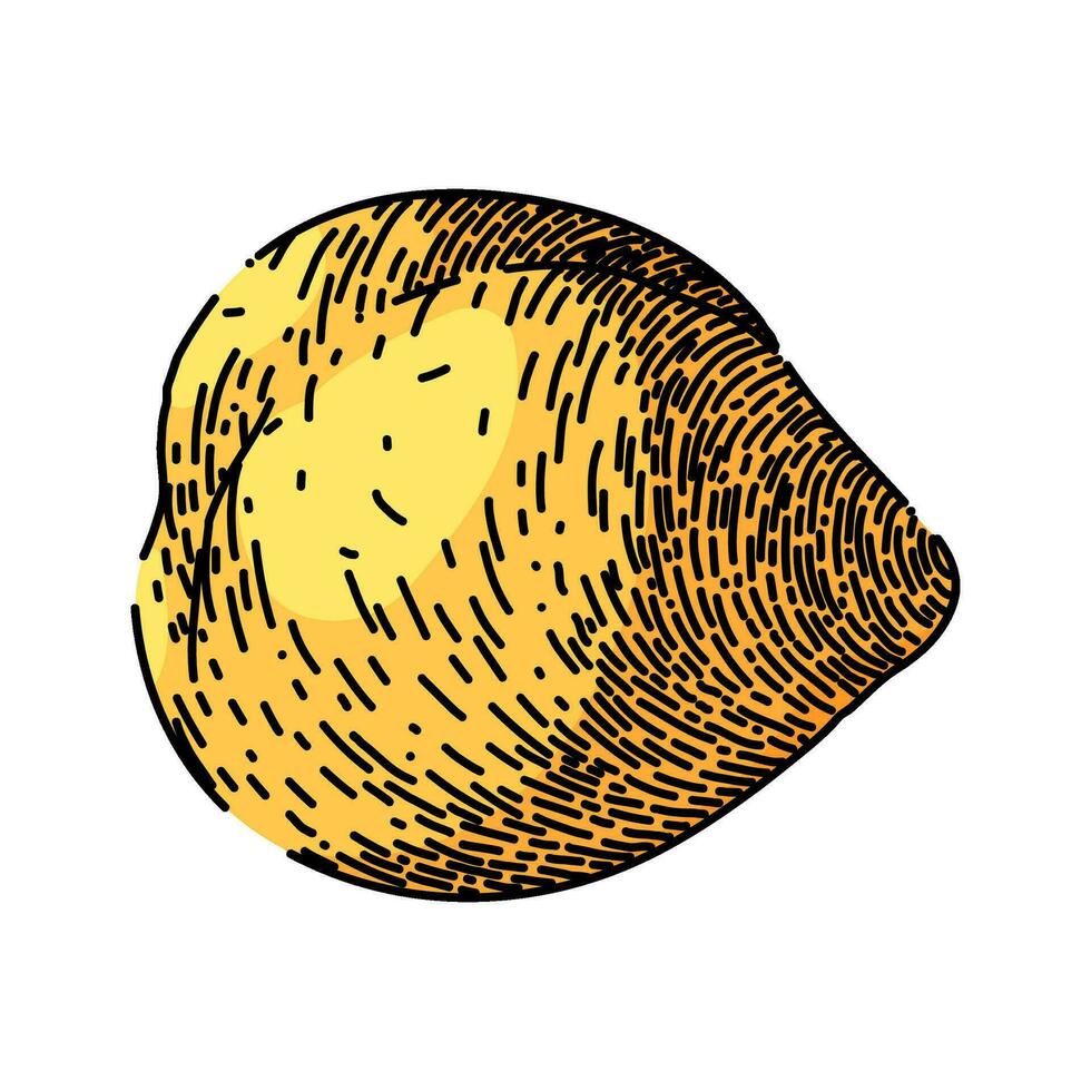 chickpea hummus pea sketch hand drawn vector
