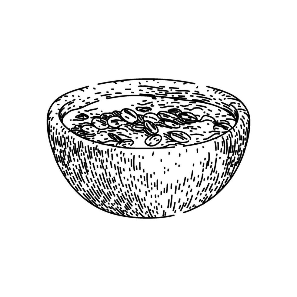 oatmeal oat bowl sketch hand drawn vector